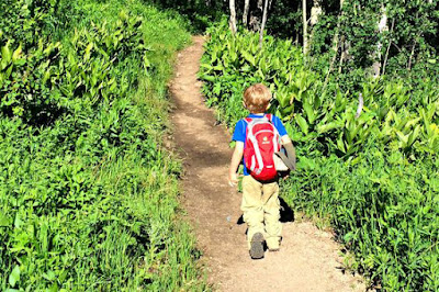 NAŠA DJECA PATE OD NEDOSTATKA PRIRODE I SVAKODNEVNOG RIZIKA