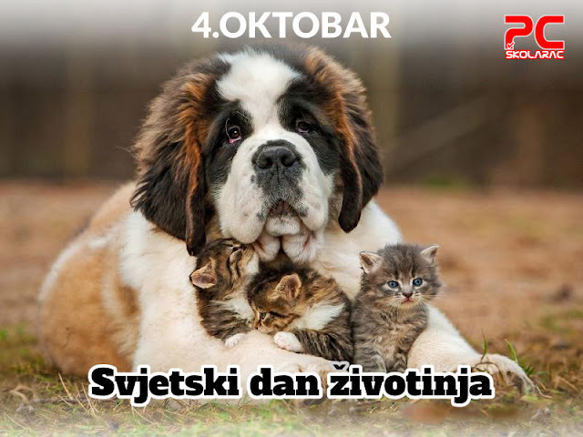 4.OKTOBAR / LISTOPAD SVJETSKI DAN ŽIVOTINJA
