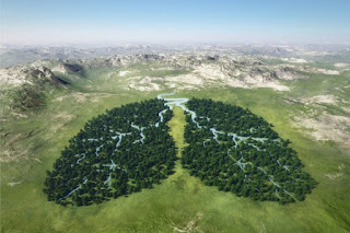 DJEČAK IZ JABLANICE OSVOJIO ZLATO U JAPANU: NACRTAO PLANETU BEZ GLOBALNOG ZAGRIJAVANJA