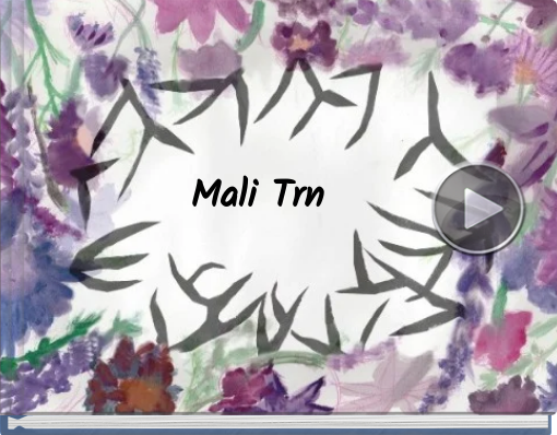 Book titled 'Mali Trn'