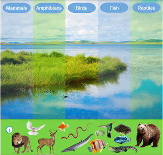 DIGITALNI ALATI – GENIALLY (ŽIVOTINJSKE VRSTE)
