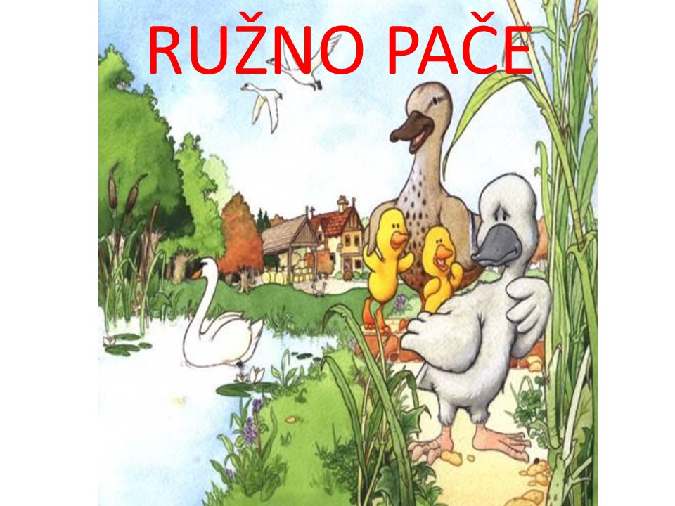 POWERPOINT – LEKTIRA – RUŽNO PAČE