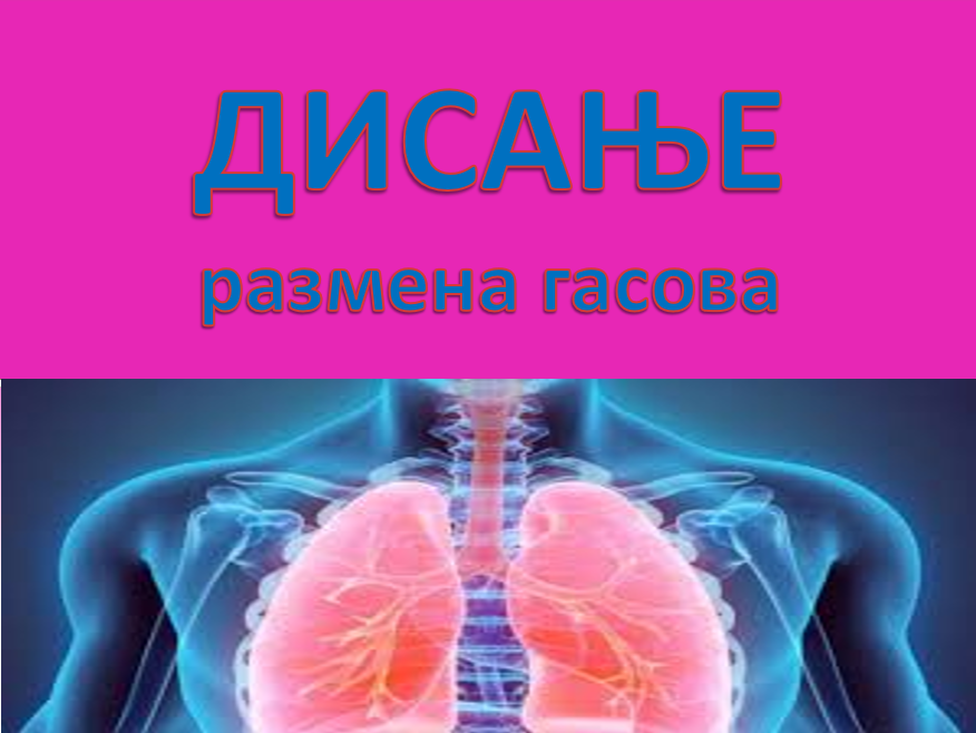 POWERPOINT – BIOLOGIJA