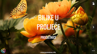 BILJKE U PROLJEĆE – RAZREDNA NASTAVA