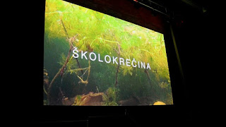 ONLINE PANEL – ŠKOLOKREČINA; DRUŠTVENE REFLEKSIJE OBRAZOVNOG SISTEMA U BiH