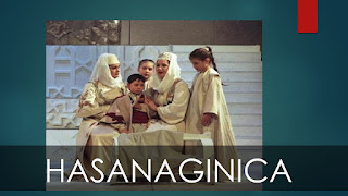 POWERPOINT- HASANAGINICA