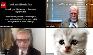 ADVOKAT SE PRILIKOM ZOOM SASTANKA POJAVIO U OBLIKU MAČKE