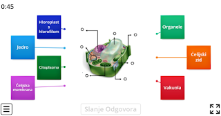 DIGITALNI ALATI WORDWALL -BIOLOGIJA