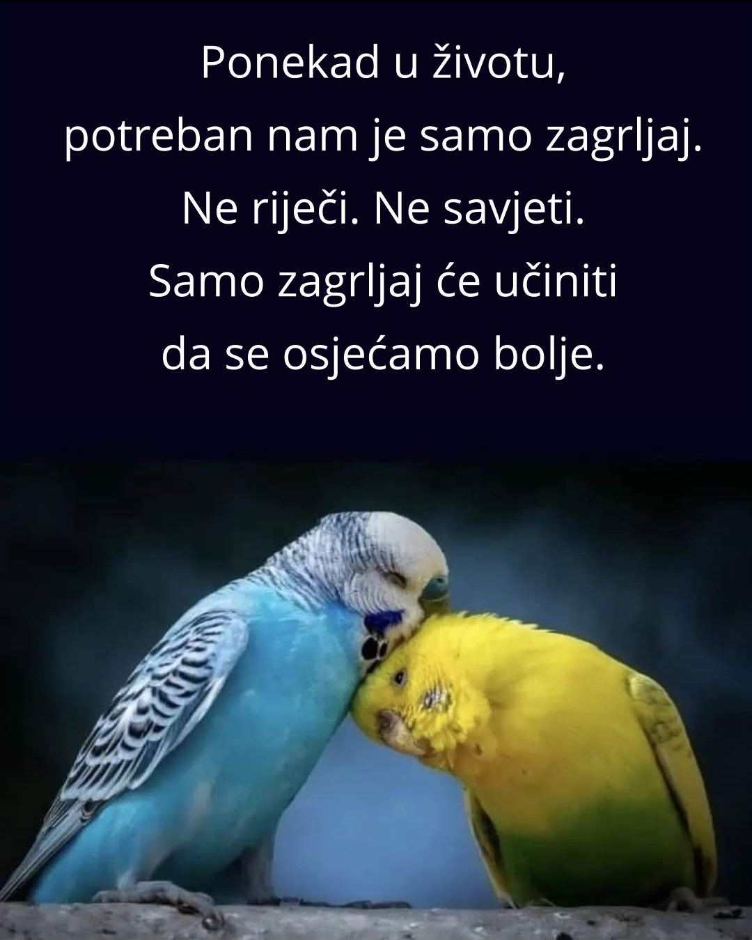 Za sreću je nekad potrebno tako malo…